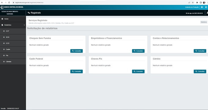 Tela do Registrato com o relatório de empréstimos e financiamentos